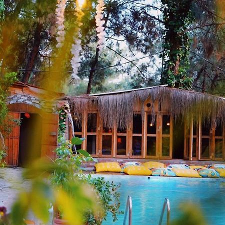 סלצ'וק Kayserkaya Cottages מראה חיצוני תמונה